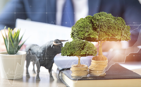 海南公司注冊(cè)所需注意事項(xiàng)、材料與流程詳解