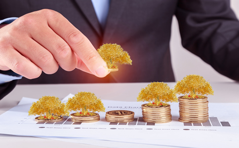 海南拍賣公司注冊費用、所需材料有哪些？